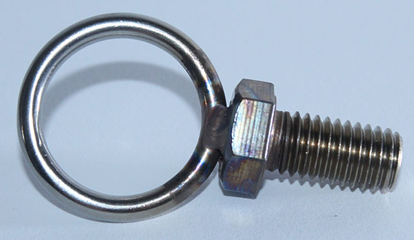 gator hunting crosbow bolt